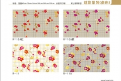 秦皇岛炫彩-图册10